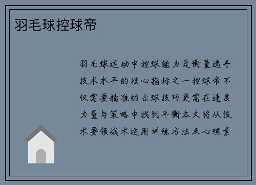 羽毛球控球帝